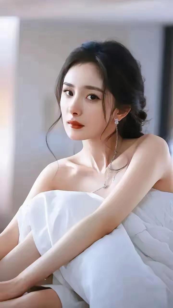 模板预览图