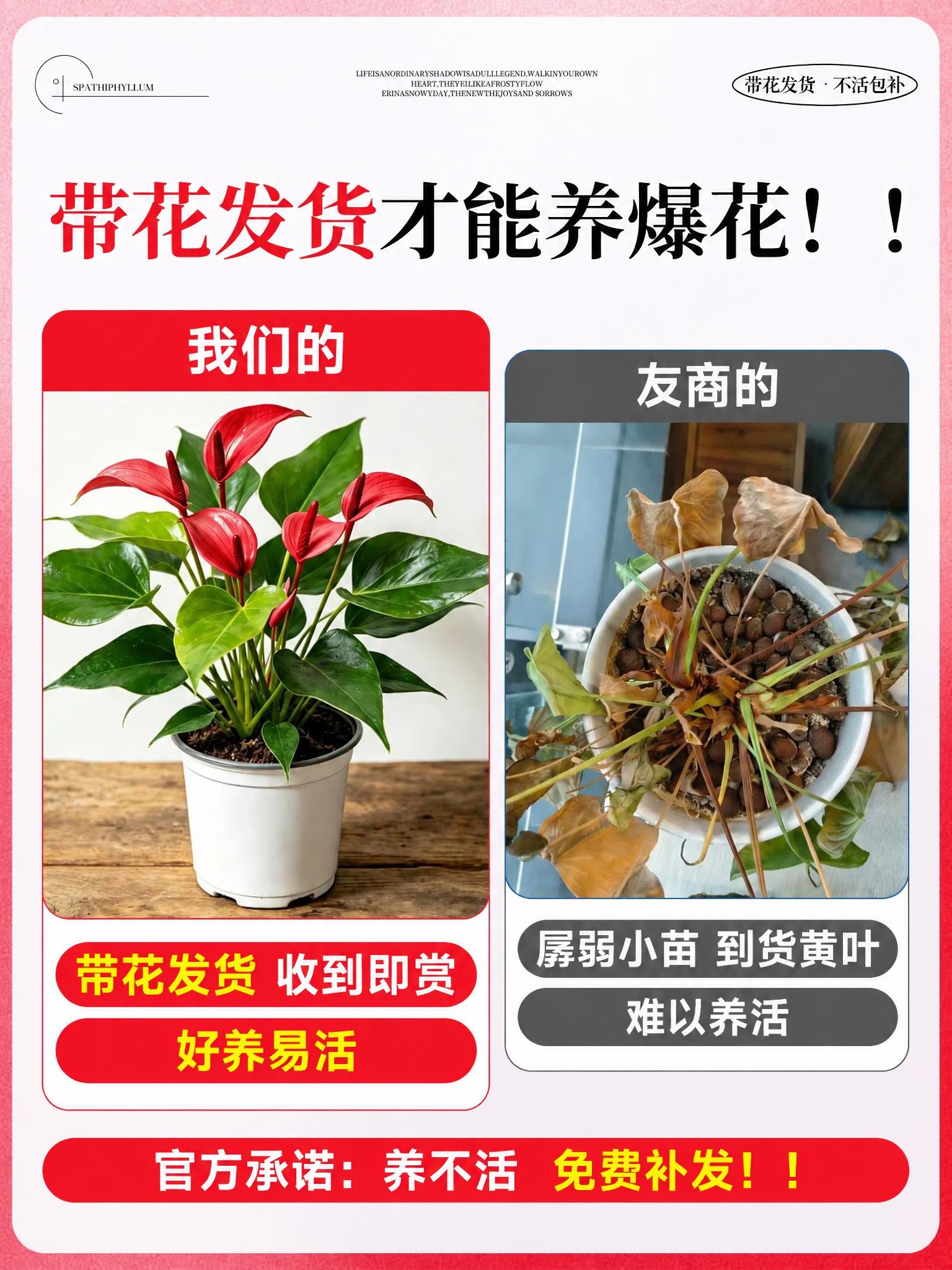 将图片中所有紫色元素（包括紫色花朵、紫色文字、紫色背景块、紫色… - 图片创意预览