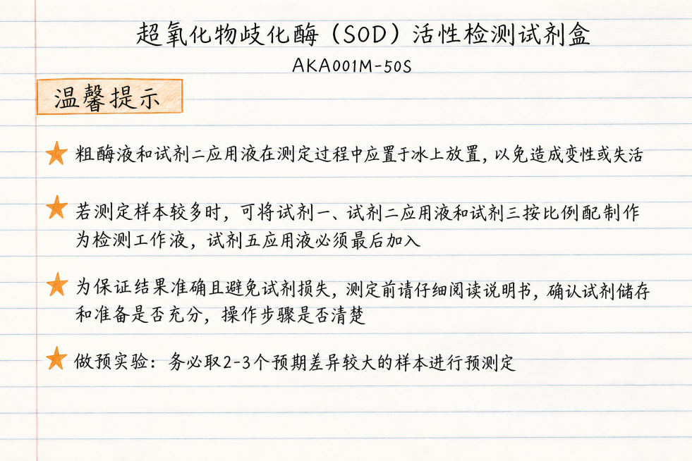 将图片中超氧化物歧化酶活性检测试剂盒的温馨提示部分，转成横格笔记本上手写手绘的风格，全部文字为手写字体，保留所有原始内容，不简化内容，横格纸背景预览效果