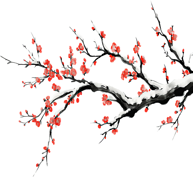 枝条细一些，长一些