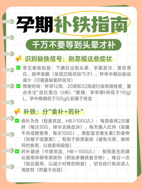 绿色简约孕期补贴指南知识分享小红书配图预览效果