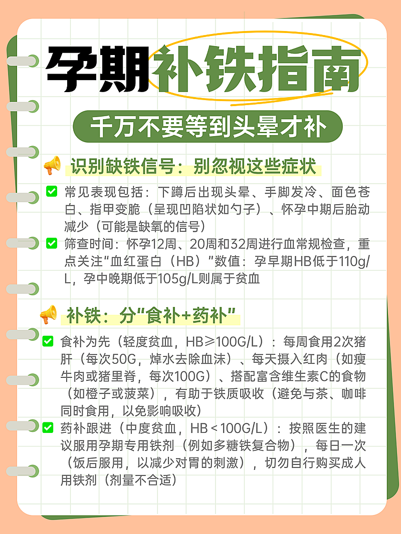 绿色简约孕期补贴指南知识分享小红书配图