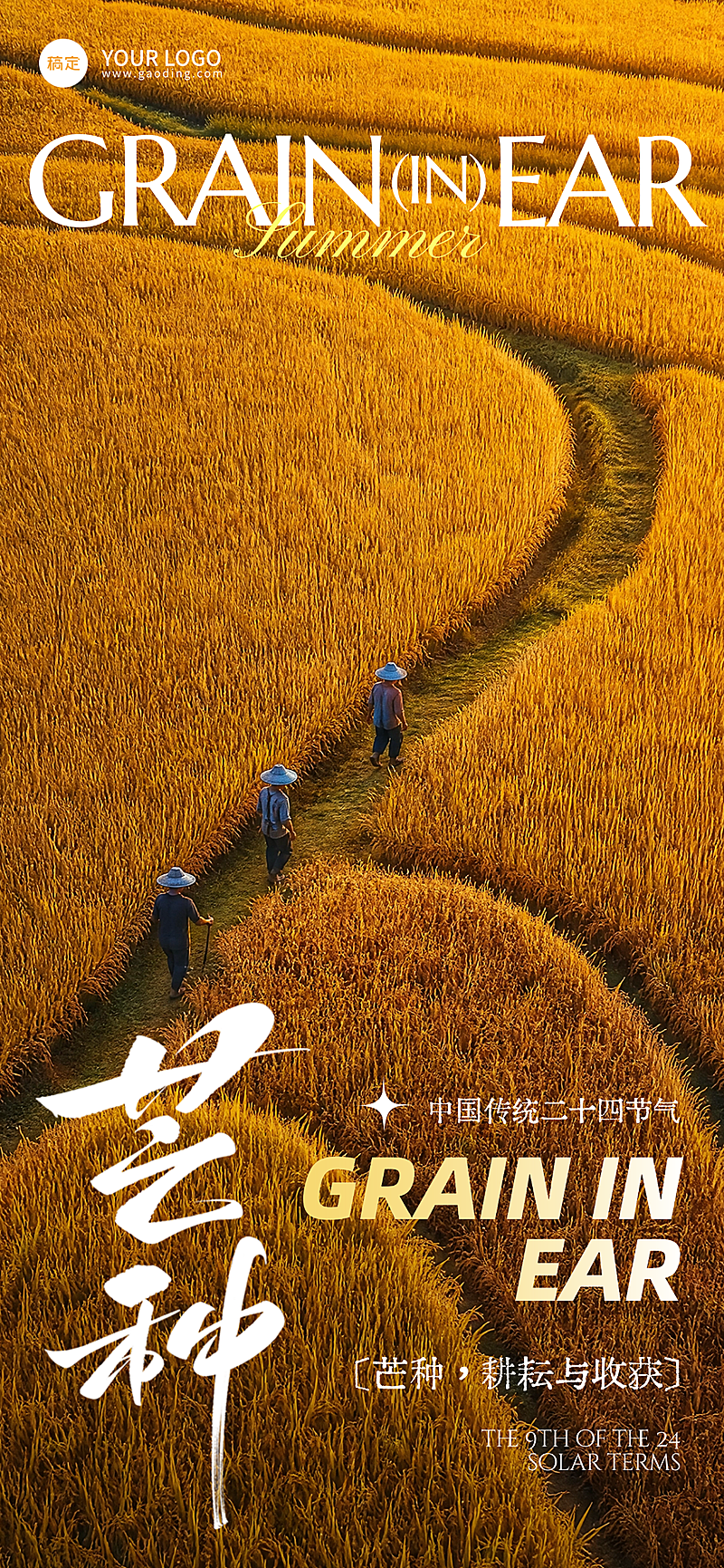 芒种节气祝福清新感通用全屏竖版海报