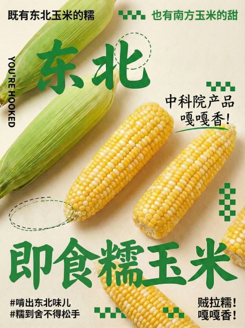 预览效果