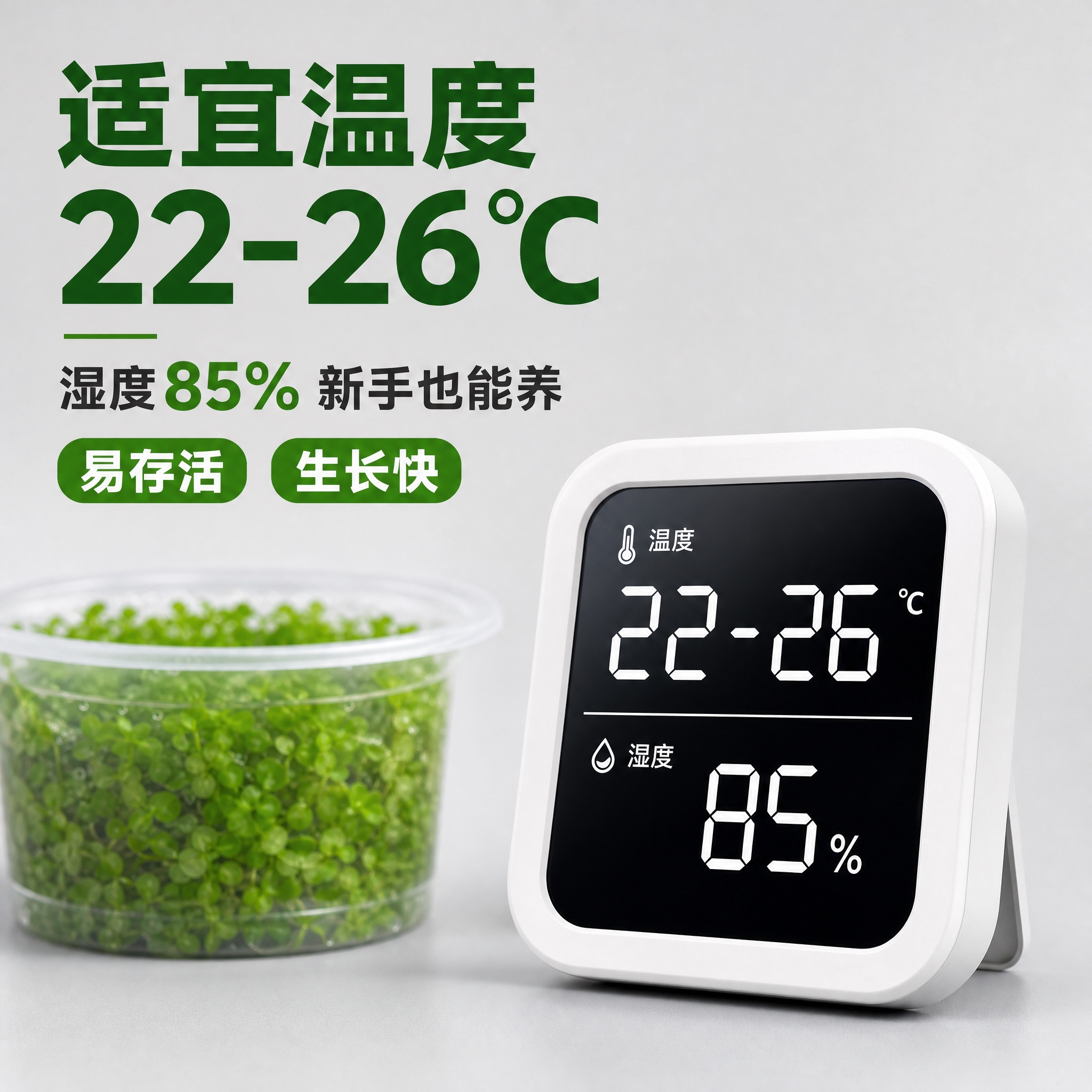 [主图-4] 温度湿度参数展示，电子数字温湿度计显示适宜的水草… - 图片创意预览