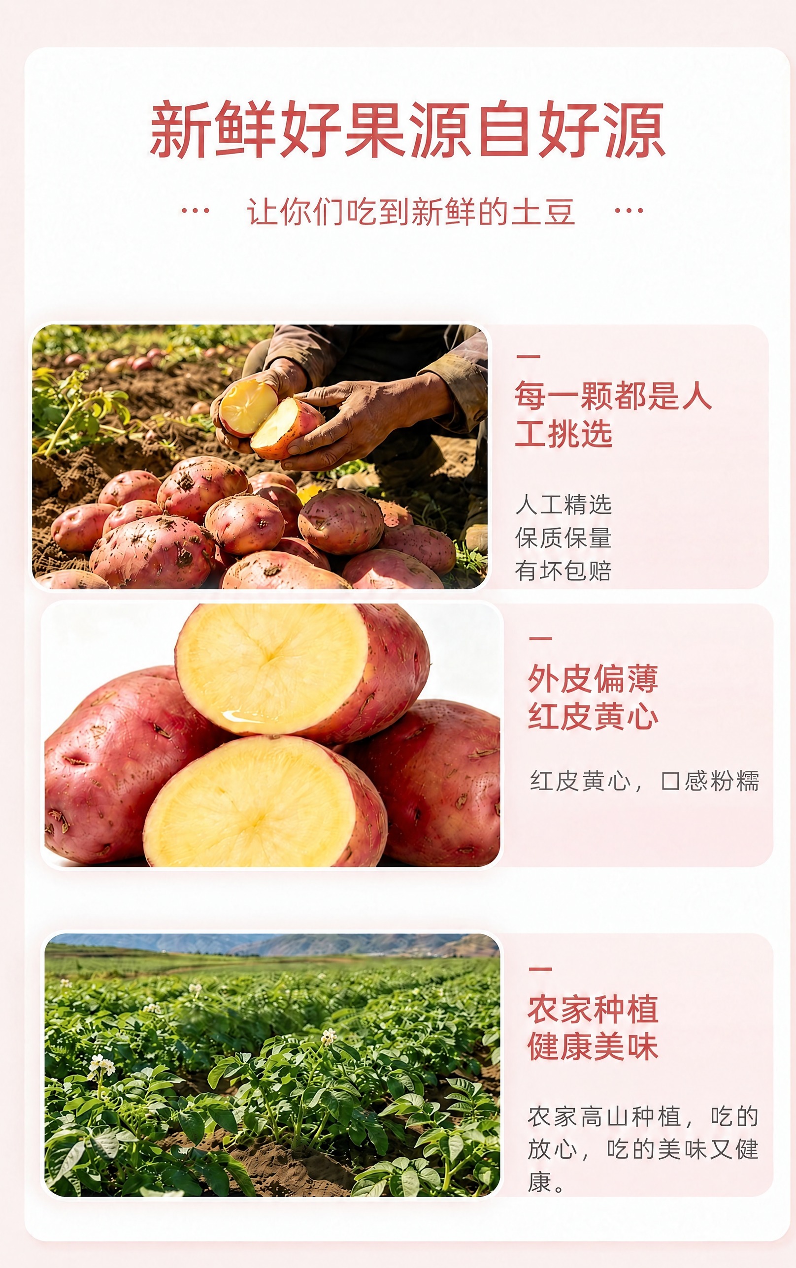 将图片中第二块右侧文字区域的“红皮黄心比普通土豆更好吃”修改为… - 图片创意预览