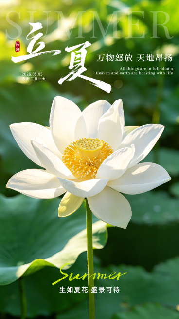 立夏节气祝福写实风竖版海报预览效果