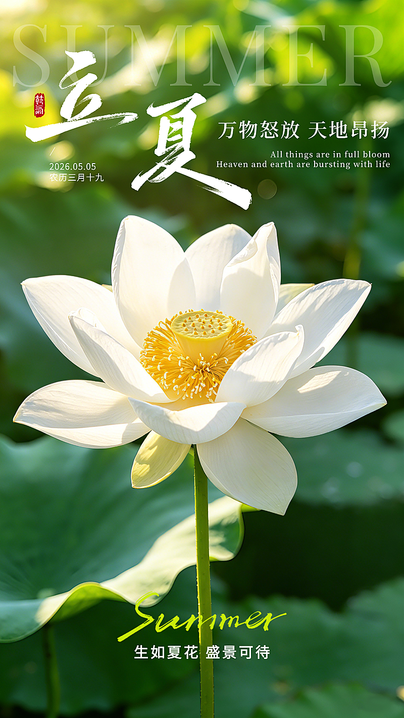 立夏节气祝福写实风竖版海报