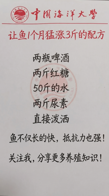 参照原图的字体样式和红色校徽logo排版布局，替换内容为一字不差的新文字：让鱼1个月猛涨3斤的配方
两瓶啤酒
两斤红糖
50斤的水
两斤尿素
直接泼洒
鱼不仅长的快， 抵抗力也强！
关注我，分享更多养预览效果