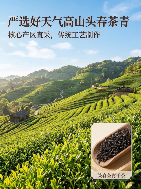 抖音电商简约高级风格茶叶详情页第3张：原料产地页，展示高山茶园春季晴朗天气实景，搭配文案「严选好天气高山头春茶青，核心产区直采，传统工艺制作」，穿插干茶特写小图预览效果