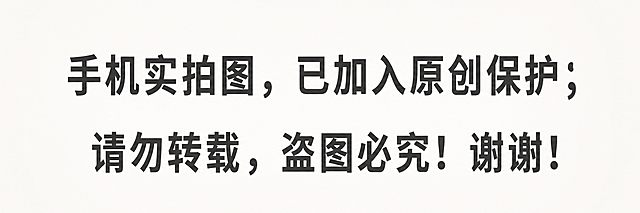 生成一张简洁的660*160纯文字声明图片，内容是：手机实拍图，已加入原创保护；请勿转载，盗图必究！谢谢！，文字排版为两行，居中显示，浅色干净背景，字体清晰醒目