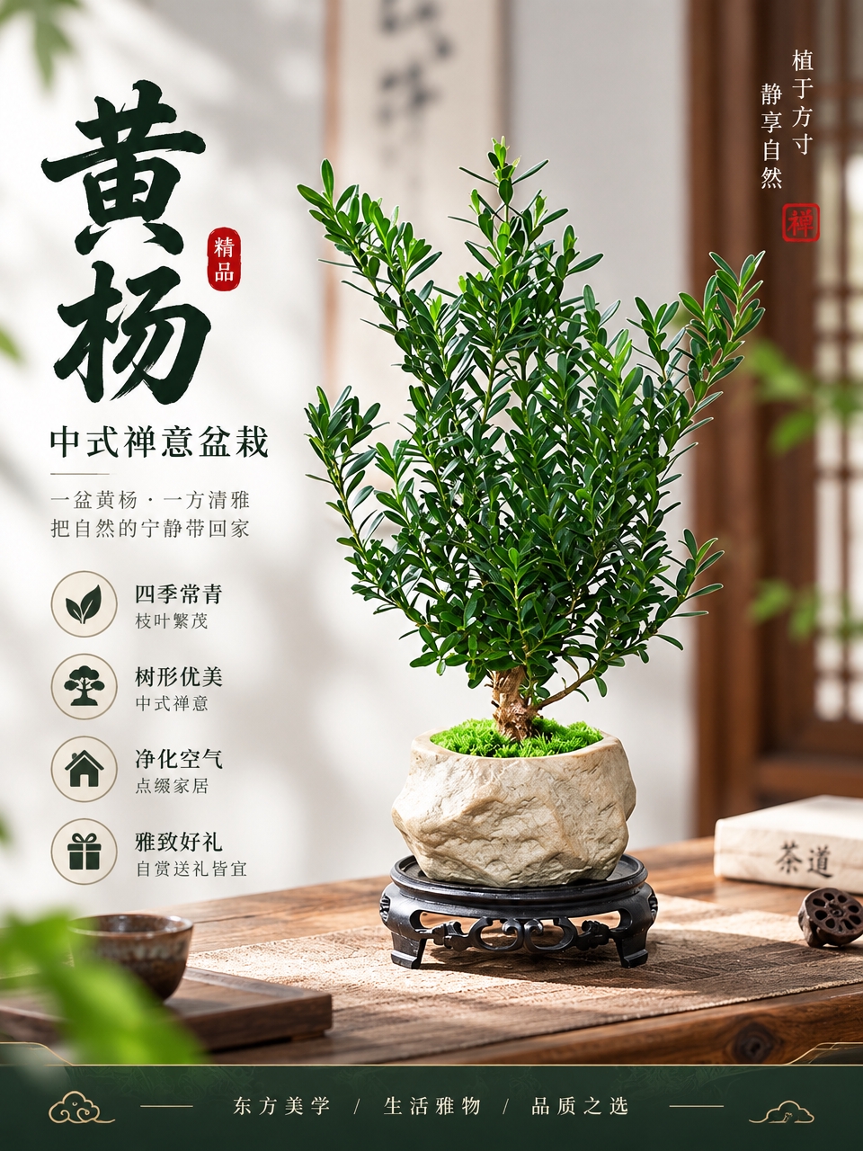 基于这张黄杨盆栽图片，生成淘宝/天猫电商主图，3:4竖版比例。… - 图片创意预览