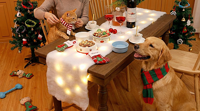 以图中的圣诞雪毯,为元素,带 LED 灯,圣诞节大家在一起聚餐,物体主体特征不变,设计6张跟圣诞雪毯有关的图,比例 16:9