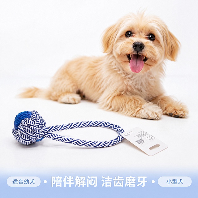 「图片1」，生成主图（6张），适配淘宝/天猫平台，比例为1:1，自动生成商品名称、卖点。
