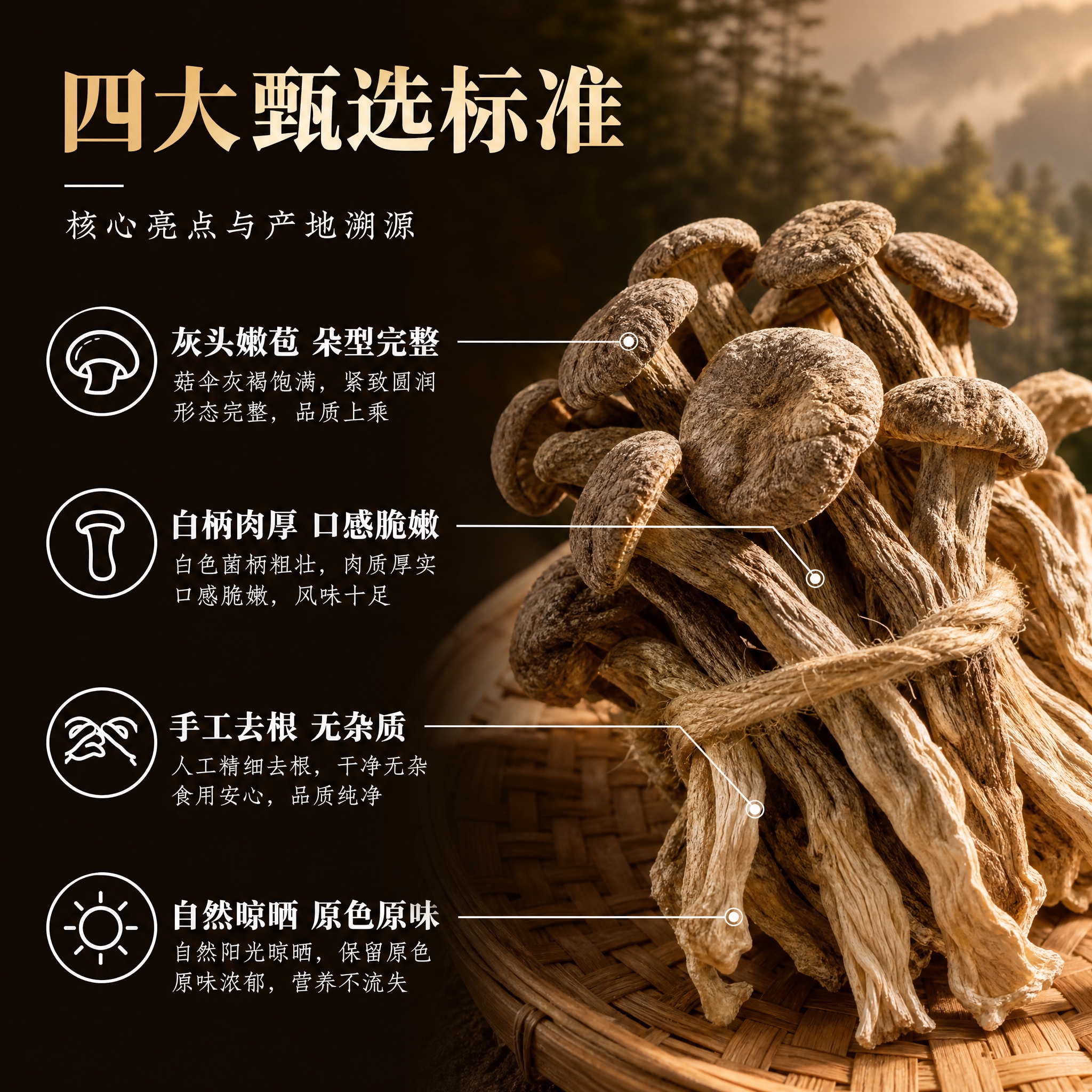 [主图-2] 核心亮点与产地溯源 品质对比与甄选标准 [统一基… - 图片创意预览
