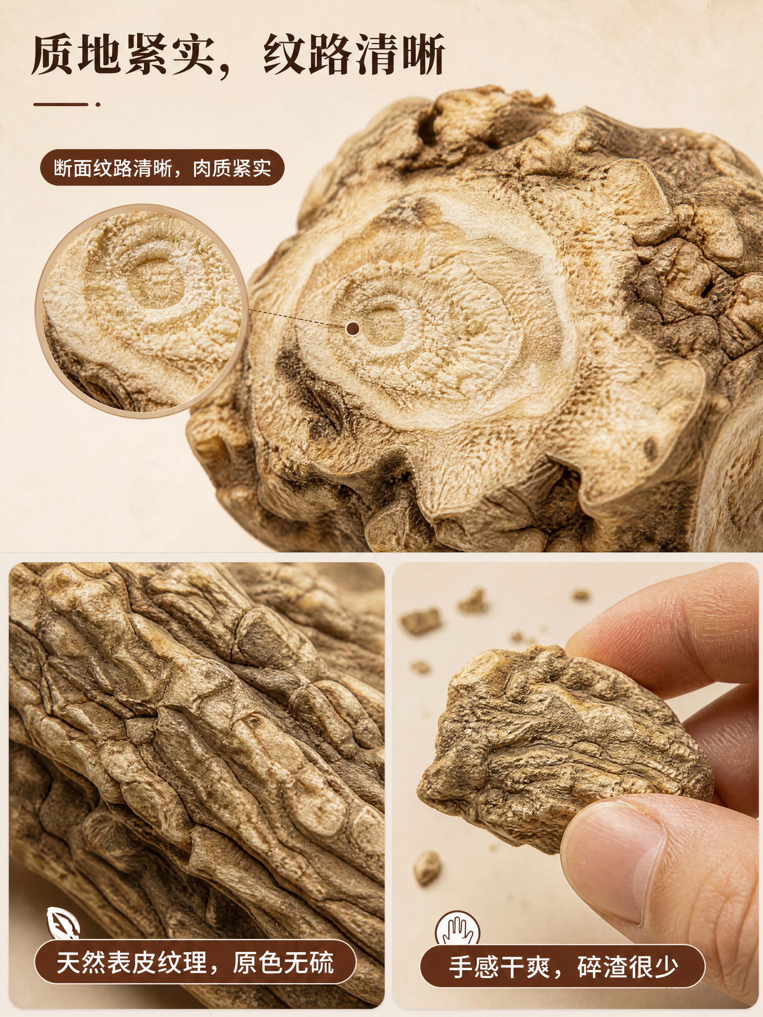 [商品] 使用【图1】【图2】甘肃岷县精品当归头，重点展示断面… - 图片创意预览