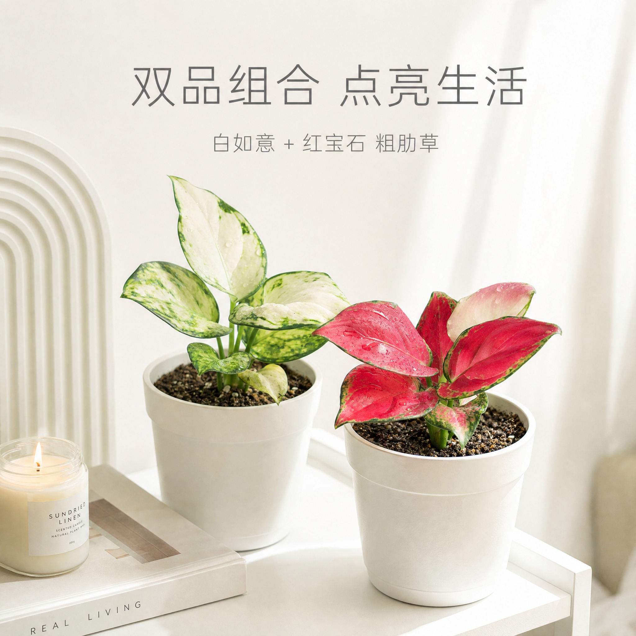 [主图-10] 双品组合空间氛围主图，白色背景中融入极简家居场… - 图片创意预览