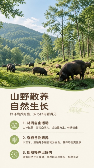 [第2屏] 产地溯源展示，散养土猪生长环境介绍。本屏无需添加商品原图，文字+产地场景设计。
[氛围/风格] 自然清新原生态风，真实户外摄影质感，传递安心品质。
[元素布局] 上方是大面积林间散养场景实预览效果