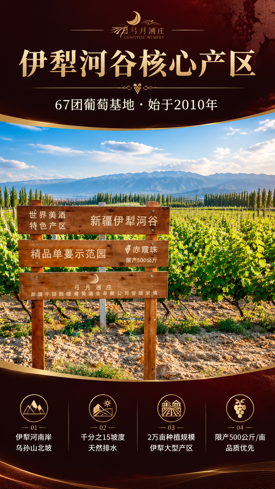 [商品] 使用【图3】弓月酒庄伊犁河谷葡萄园实景图；保留木牌上… - 图片创意预览