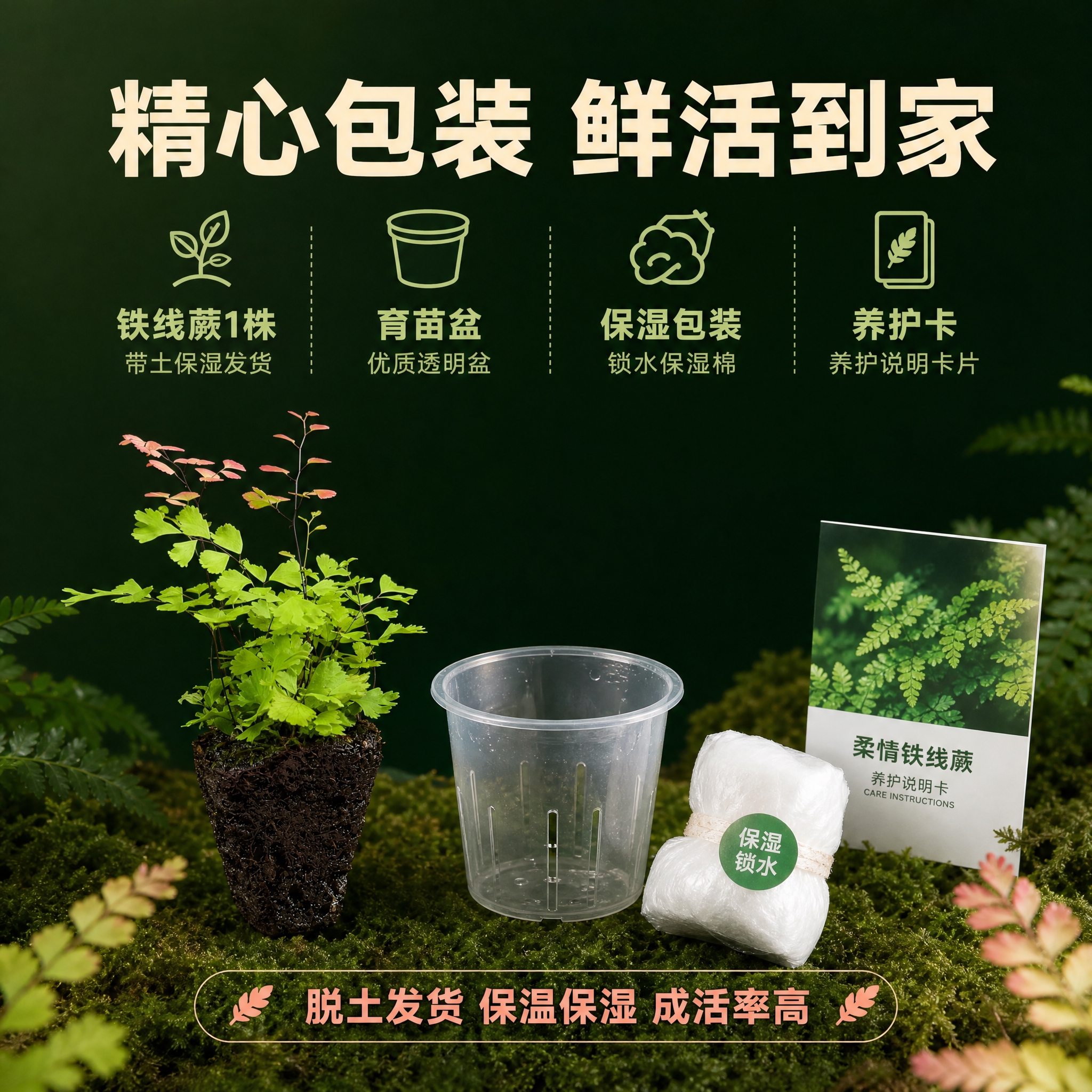 [主图-10] 发货规格与包装展示图，给买家购买信心，展示发货… - 图片创意预览