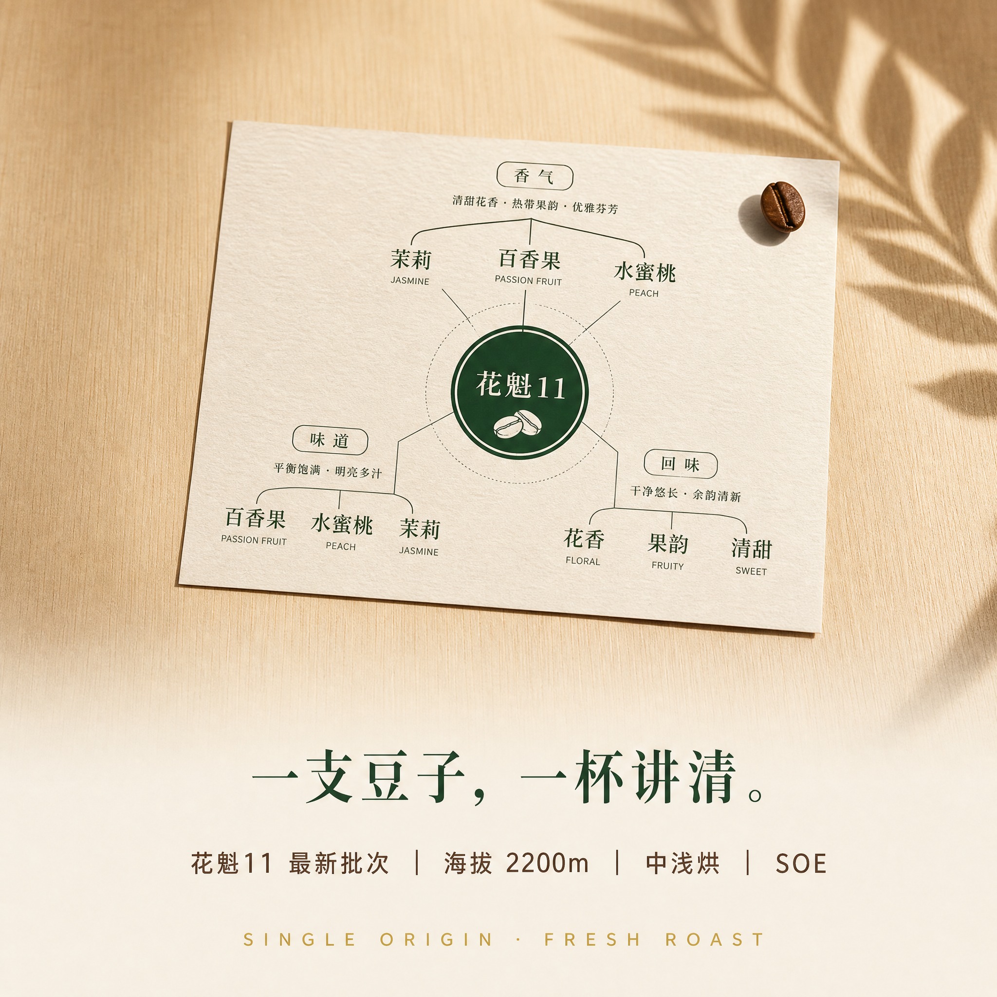 800×800 电商主图，高端卡片+实拍混合，1:1比例。主体… - 图片创意预览