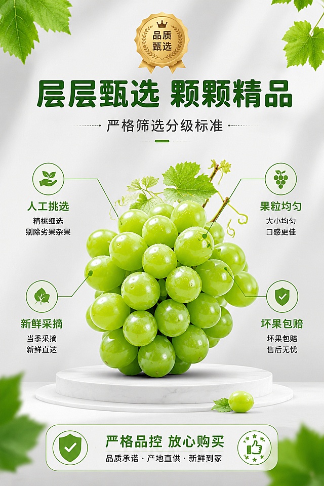 [第8屏] 详情页品质甄选-严格筛选分级标准。本屏使用【图1】作为商品主体参考。
[氛围/风格] 专业品质风，严谨可信，商业质感。
[元素布局] 画面中间是一串精选阳光玫瑰青提，占比约40%；周围用引线标注四个品质标准；背景浅灰色渐变，底部有浅色台面；顶部有品质徽章图标；四角装饰葡萄叶。
[光影质感] 均匀柔光，果粒清晰，整体干净专业。
[配色色系] 全局底色 #F5F5F5 浅灰；主色品质绿 #558B2F；辅助色白色、深灰文字；点缀色金色品质徽章。
[视角构图] 中心主体+四周引线标注，正面平视，阅读动线从中心向外扩散。
[文字版式] 顶部大标题「层层甄选 颗颗精品」圆润黑体；中间葡萄串四周引线标注：「人工挑选」「果粒均匀」「新鲜采摘」「坏果包赔」，每项配小图标；底部品质承诺条「严格品控 放心购买」；字色深绿+深灰，统一圆润黑体。
[比例分辨率] 2:3竖版比例，4K分辨率，文字清晰可辨，高清画质。
[负向提示词] 葡萄变形，引线模糊，图标不清，文字过小，水印，背景杂乱。