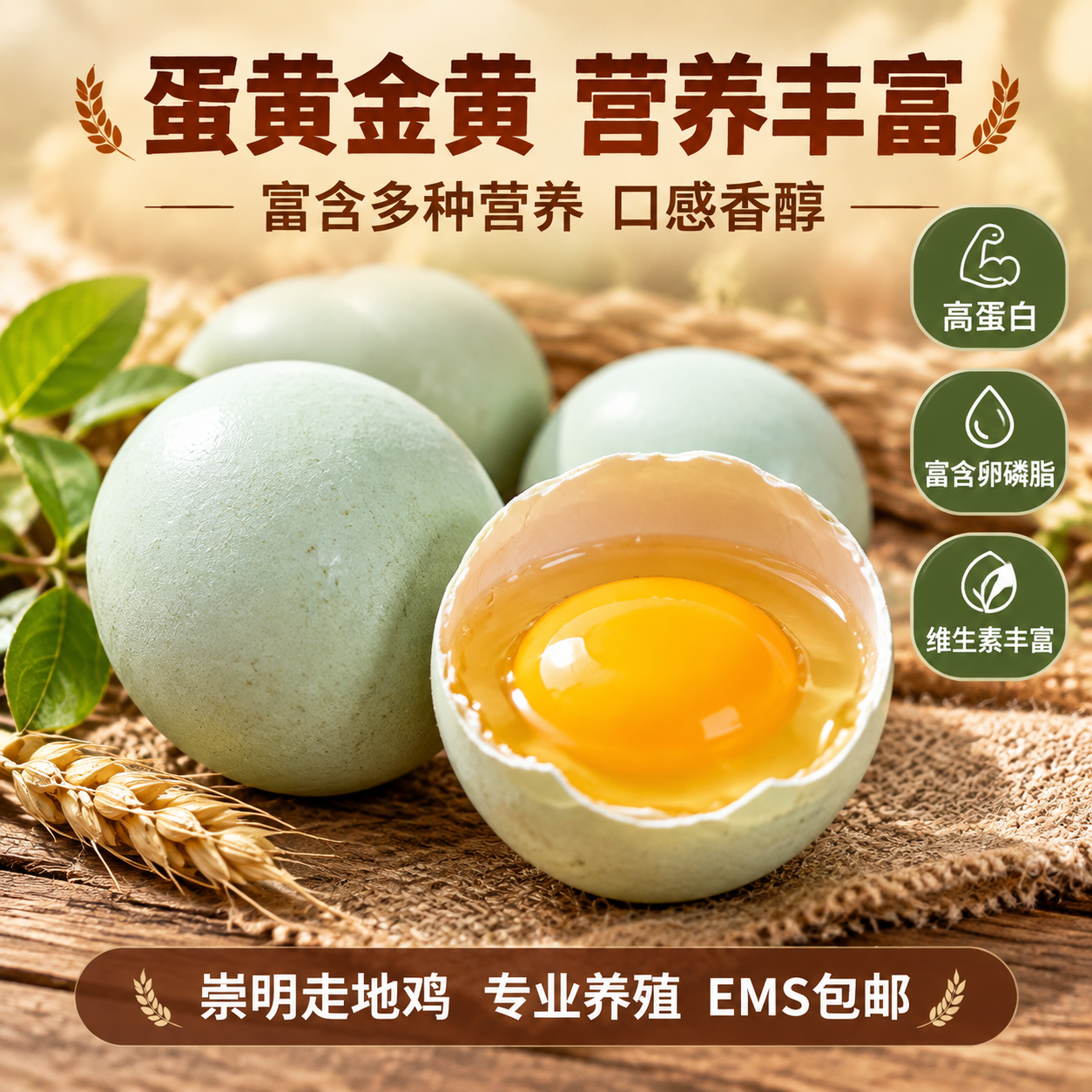 [主图-青壳3] 崇明青壳鸡蛋营养细节特写图，展示鸡蛋品质与内… - 图片创意预览