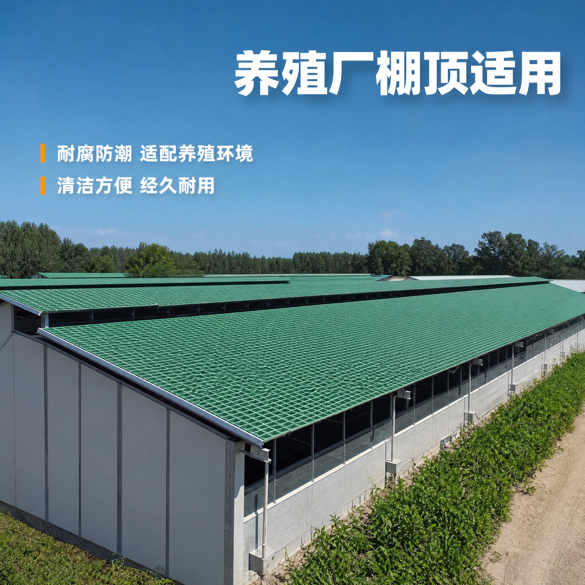 [主图-4] 养殖厂棚顶使用场景图，主题为玻璃钢盖板在养殖场棚… - 图片创意预览