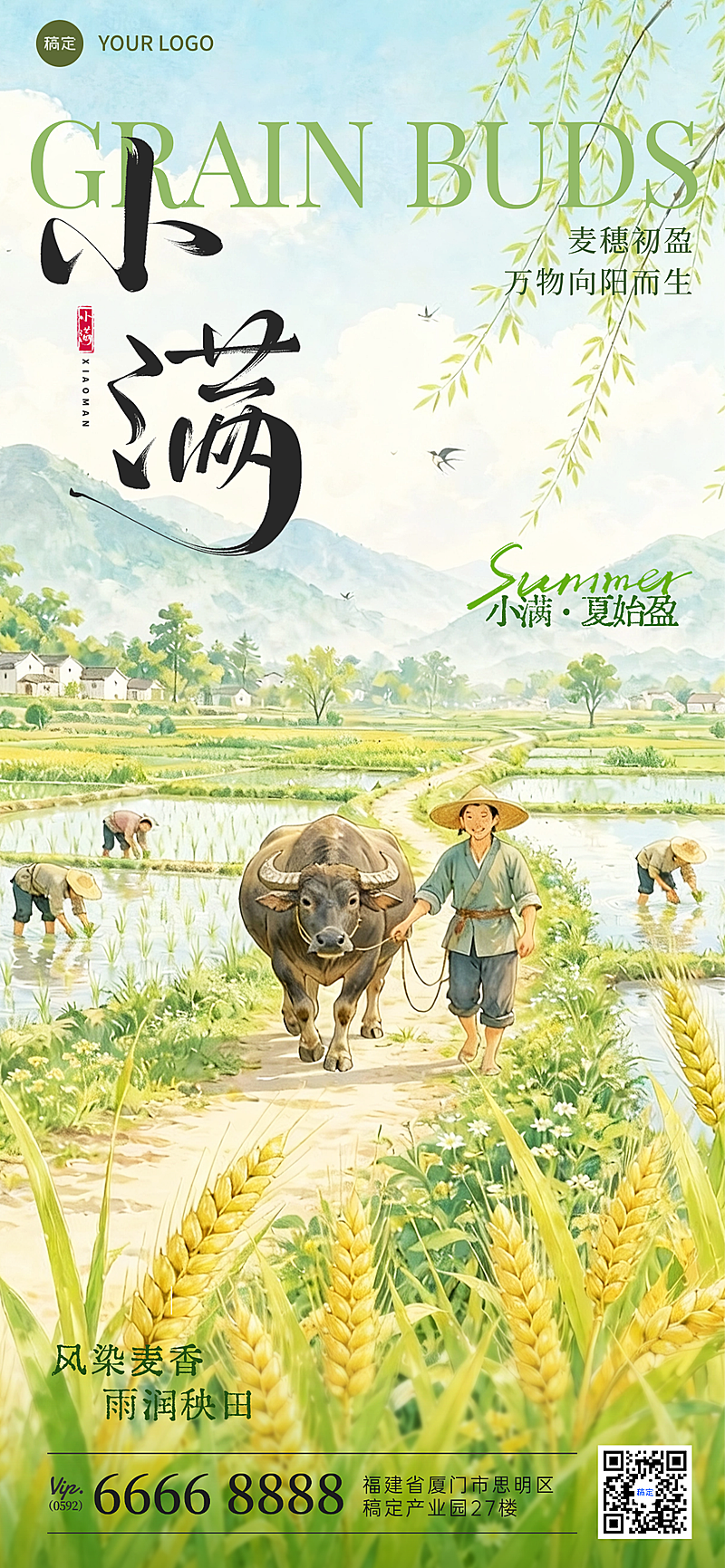 小满节气祝福麦田田园风光海报