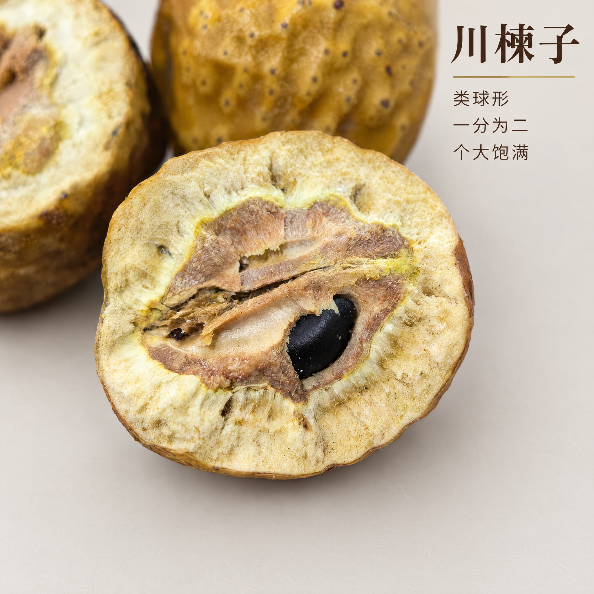 基于上传的川楝子素材进行主图创作，严格使用上传素材，完整保留原… - 图片创意预览