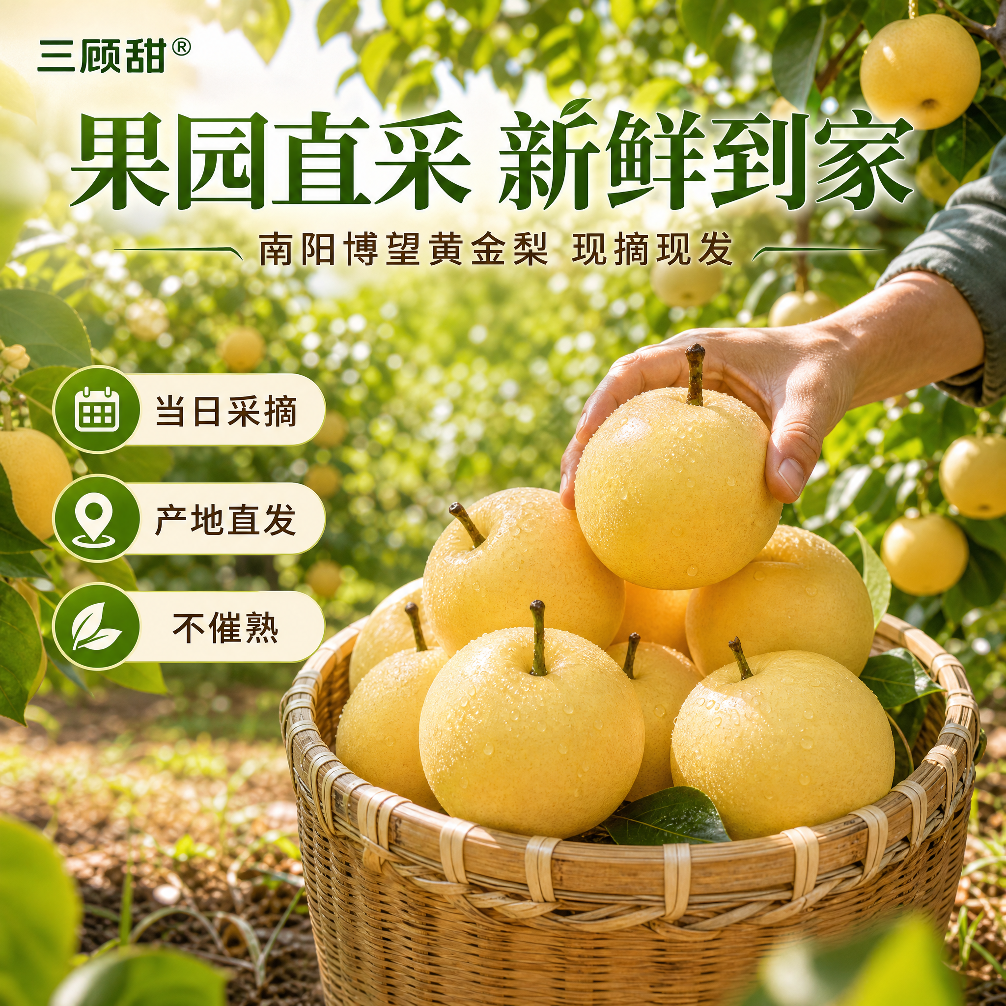 抖音巨量千川生鲜水果推广海报，写实商业摄影风格，新鲜食欲感爆棚… - 图片创意预览