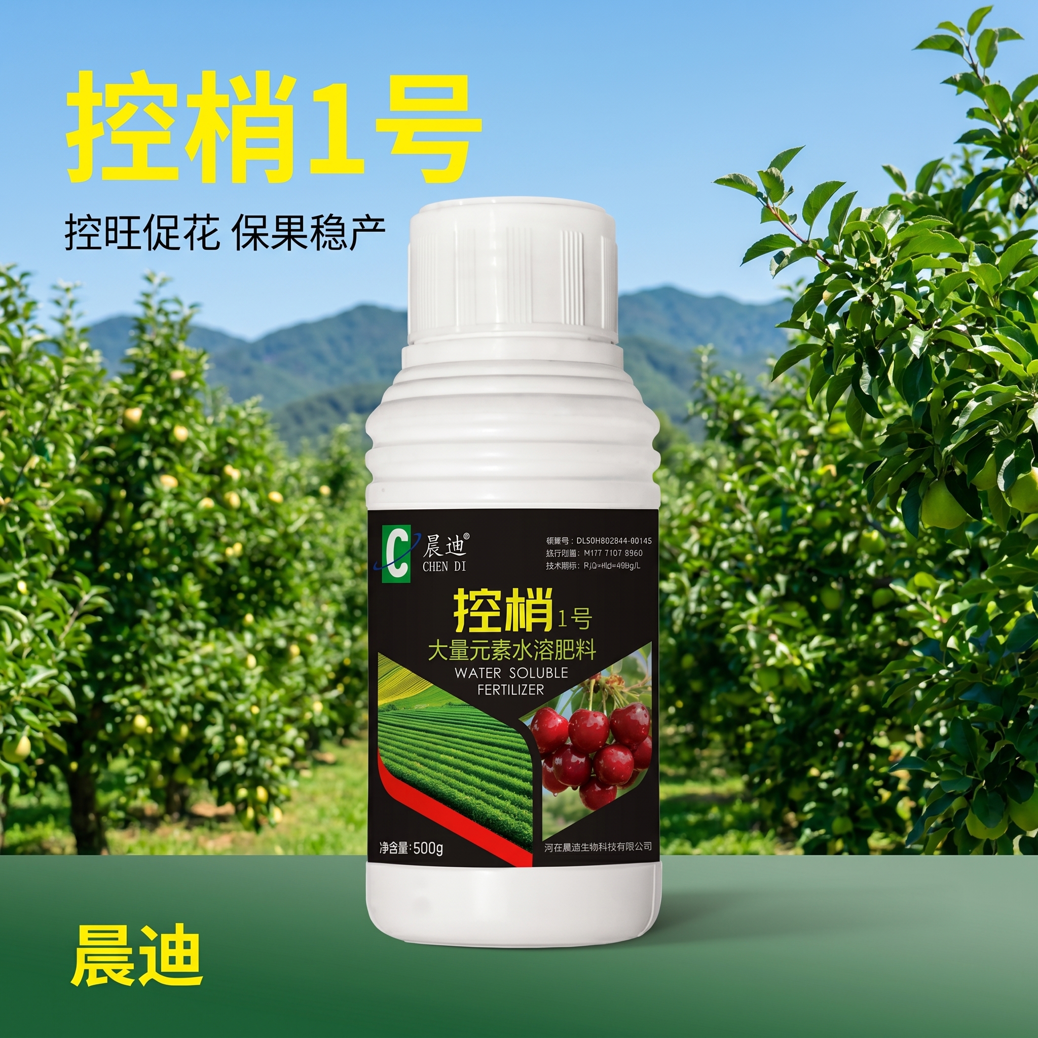 创意预览图