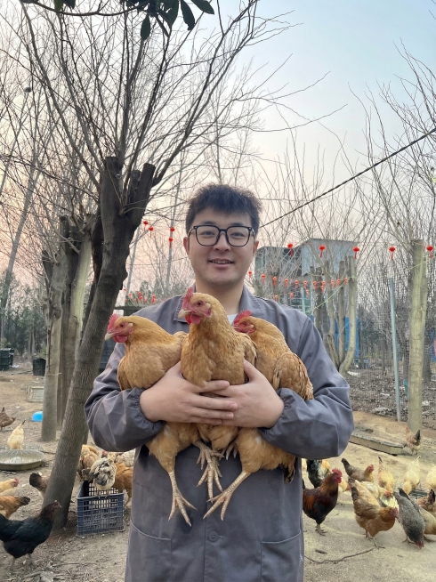 保持整体效果不变，将人物手中的老母鸡修改为三只老母鸡，手部动作可以相对应修改，但是整体动态不变，动作要舒服，不要突兀预览效果