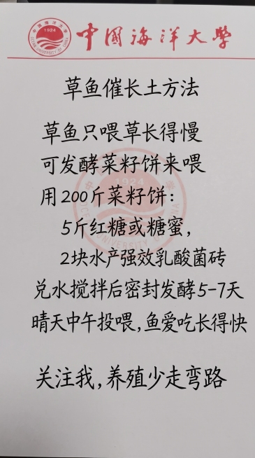 保留中国海洋大学logo和信纸背景排版，参照原图手写字体和颜色，一字不差替换新内容：草鱼催长土方法
草鱼只喂草长得慢
可发酵菜籽饼来喂
用200斤菜籽饼:
5斤红糖或糖蜜，
2块水产强效乳酸菌砖
兑水预览效果