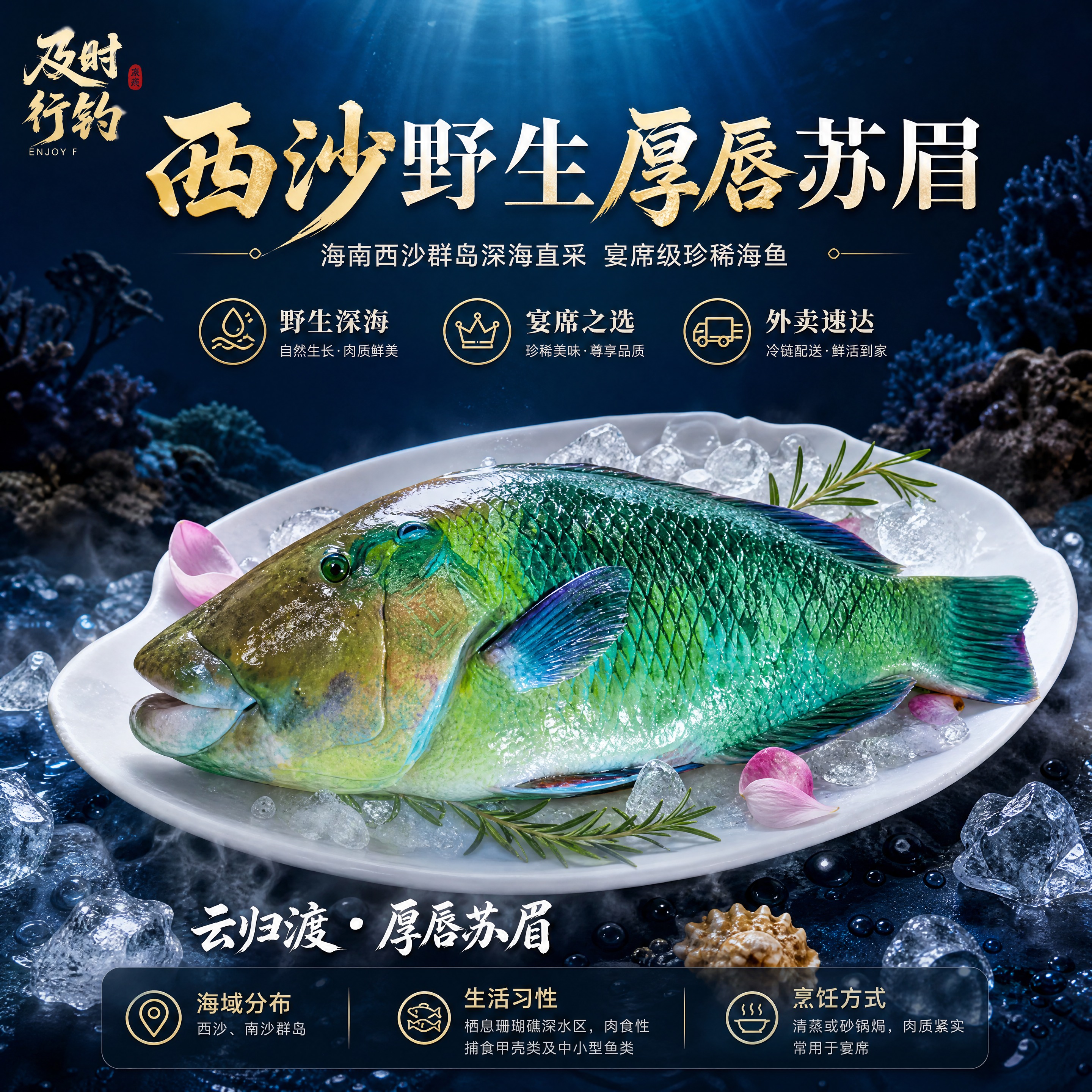 [商品] 使用【图1】厚唇苏眉鱼产品图；保留鱼身绿蓝渐变鳞片、… - 图片创意预览