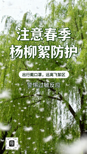 春季防杨柳絮公益宣传海报，画面包含漫天飞舞的白色杨柳絮，绿色柳树背景，醒目大字标题"注意春季杨柳絮防护"，下方标注温馨提示：出行戴口罩，远离飞絮区，警惕过敏反应，整体风格清新醒目，宣传主题明确，构图饱预览效果