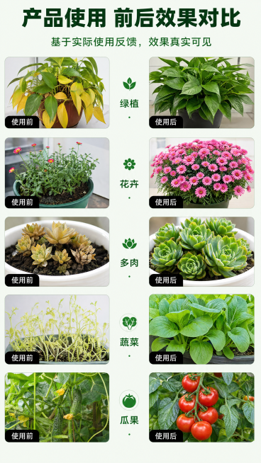 「图片1」这张图的，文字内容没有问题，但是图片里的植物素材图片不够清晰，很模糊有些都有些变形，你需要好好重新做一张清晰的不变形的图片。预览效果