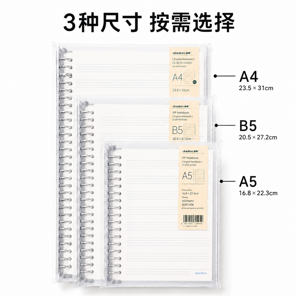将右侧所有尺寸标注的单位修改为cm，A4标注为23.5×31c… - 图片创意预览