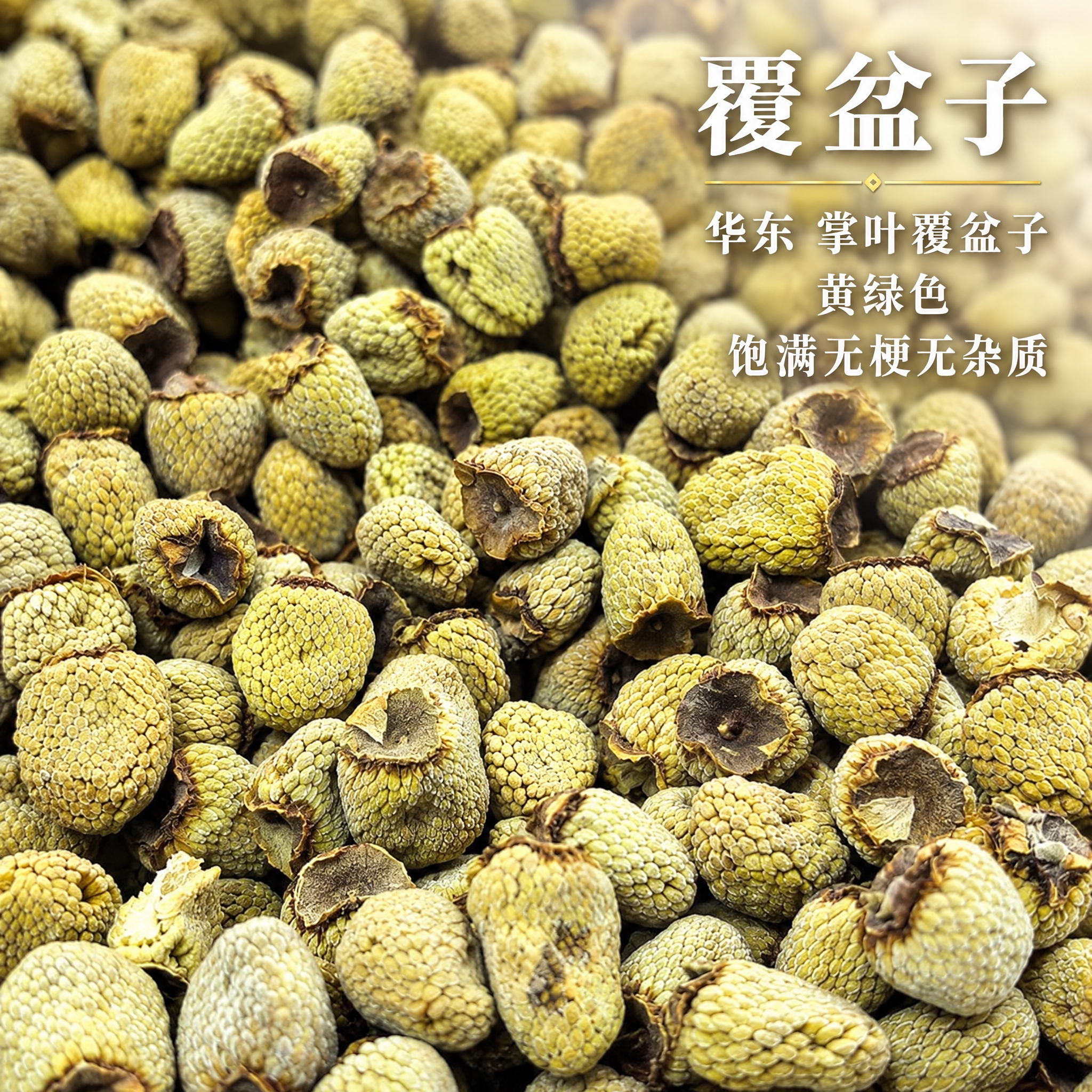 基于上传的覆盆子素材进行主图创作，严格使用上传素材，完整保留原… - 图片创意预览