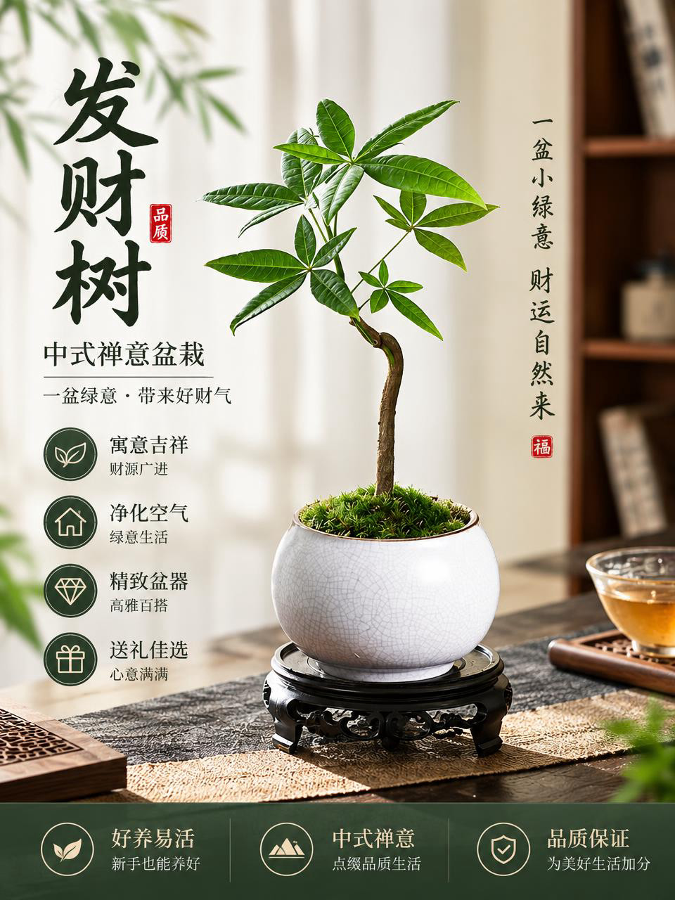 基于参考图生成淘宝天猫电商主图，3:4竖版比例，保留发财树盆栽… - 图片创意预览