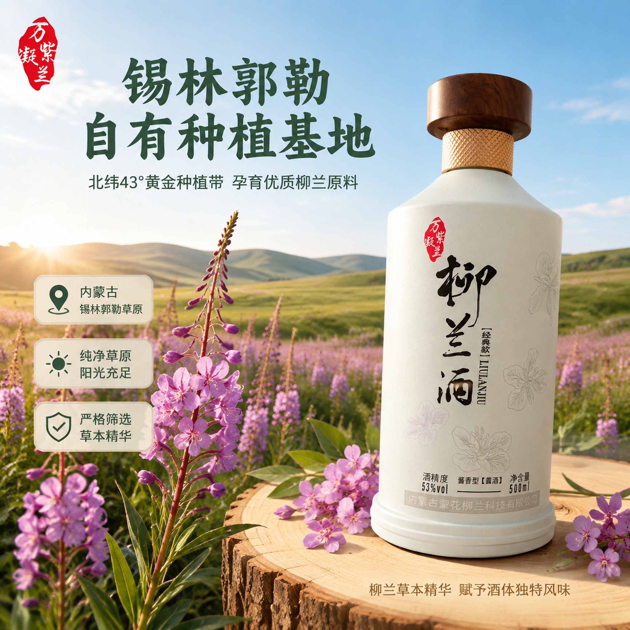 [主图-2] 柳兰酒产地溯源与核心亮点 锡林郭勒草原柳兰种植基… - 图片创意预览