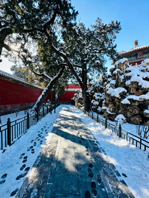 生成故宫下雪了的10张小红书配图和1张封面图，结合文案：落雪紫禁城｜北京初雪已至，故宫又美成了千年前的模样
文案
北京终于下雪啦❄️当雪花落在故宫的檐角、红墙、汉白玉台基上，朱红与雪白撞出的，是独属于预览效果