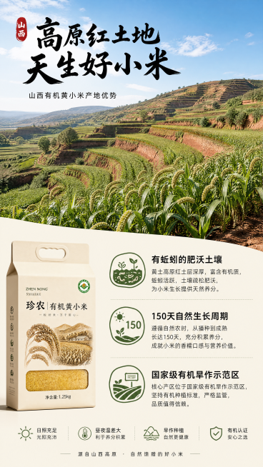 [第2屏] 山西有机黄小米产地优势展示屏。
[氛围/风格] 自然原生态，实拍农田风光，真实接地气，开阔明亮。
[元素布局] 画面上半部分是山西高原红土地梯田的宽幅实景图，层层叠叠的黄土地种植着绿色小米预览效果