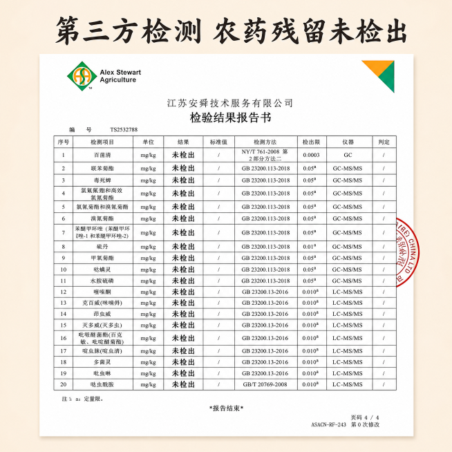 「图片1」「图片1」「图片1」「图片1」「图片1」「图片1」「图片1」「图片1」「图片1」「图片1」根据这些报告再生成2张详情图，1：1，预览效果