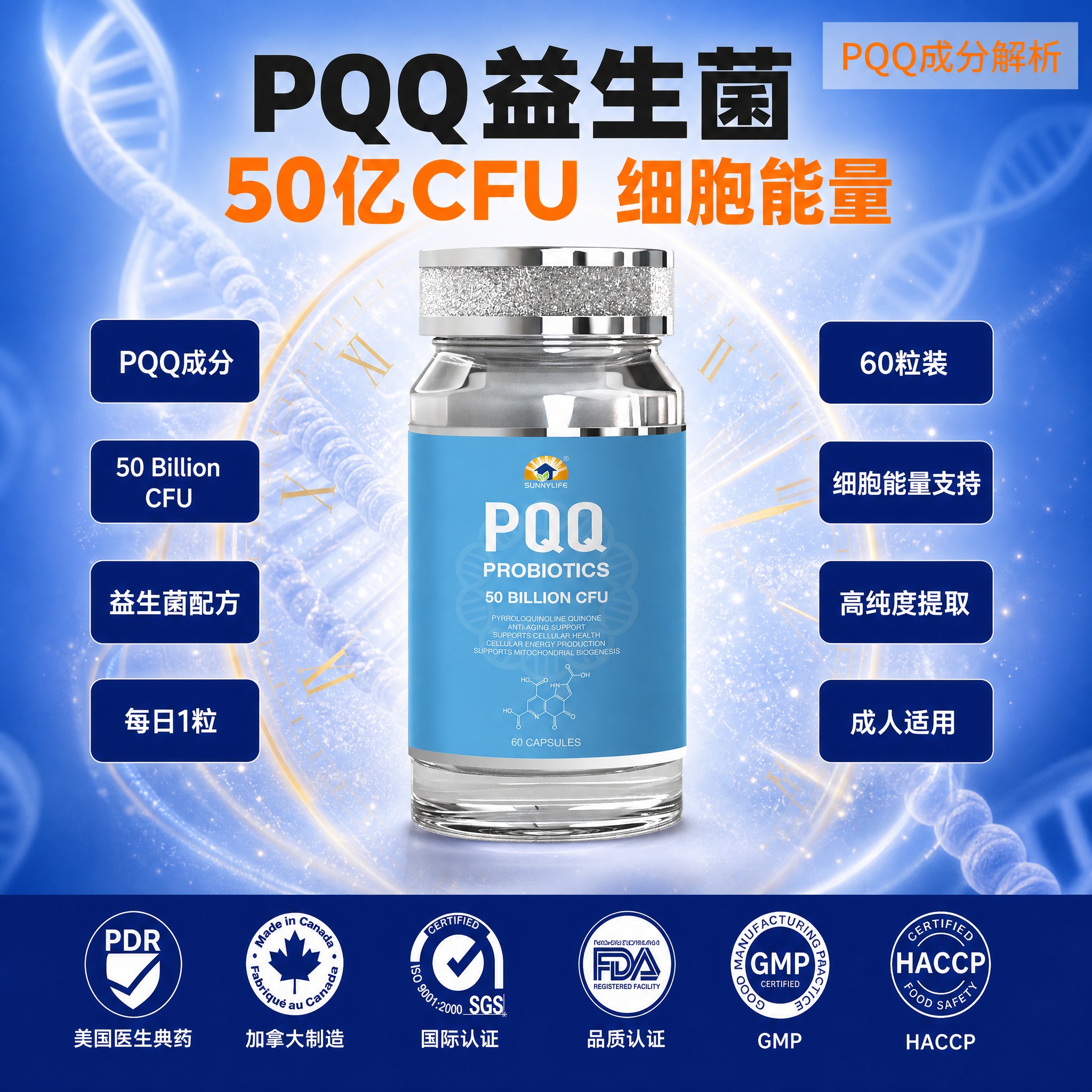 [主图-1] 按参考排版1:1还原PQQ益生菌主图，产品全貌清… - 图片创意预览