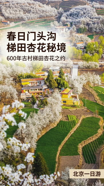 确认预览效果