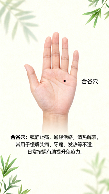 朋友圈养生科普图片，展示合谷穴的位置，配有清晰标注和养生功效文字说明"合谷穴：镇静止痛，通经活络，清热解表。常用于缓解头痛、牙痛、发热等不适，日常按揉有助提升免疫力。", 整体风格简洁清新，适合养生品预览效果