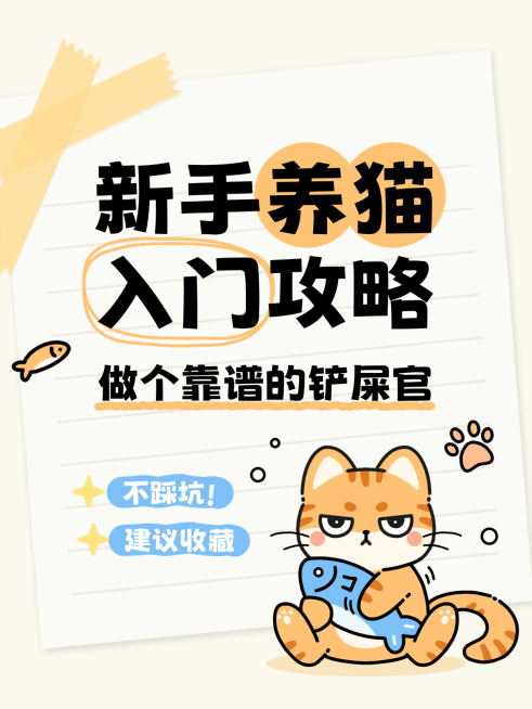 新手养猫指南爆款大字插画风小红书封面预览效果