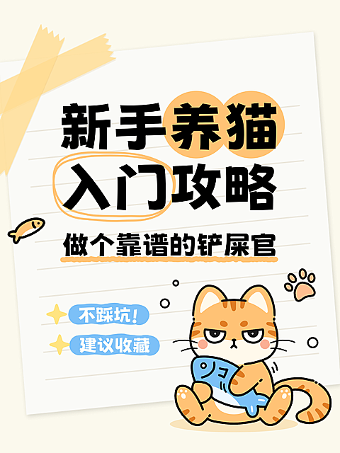 新手养猫指南爆款大字插画风小红书封面