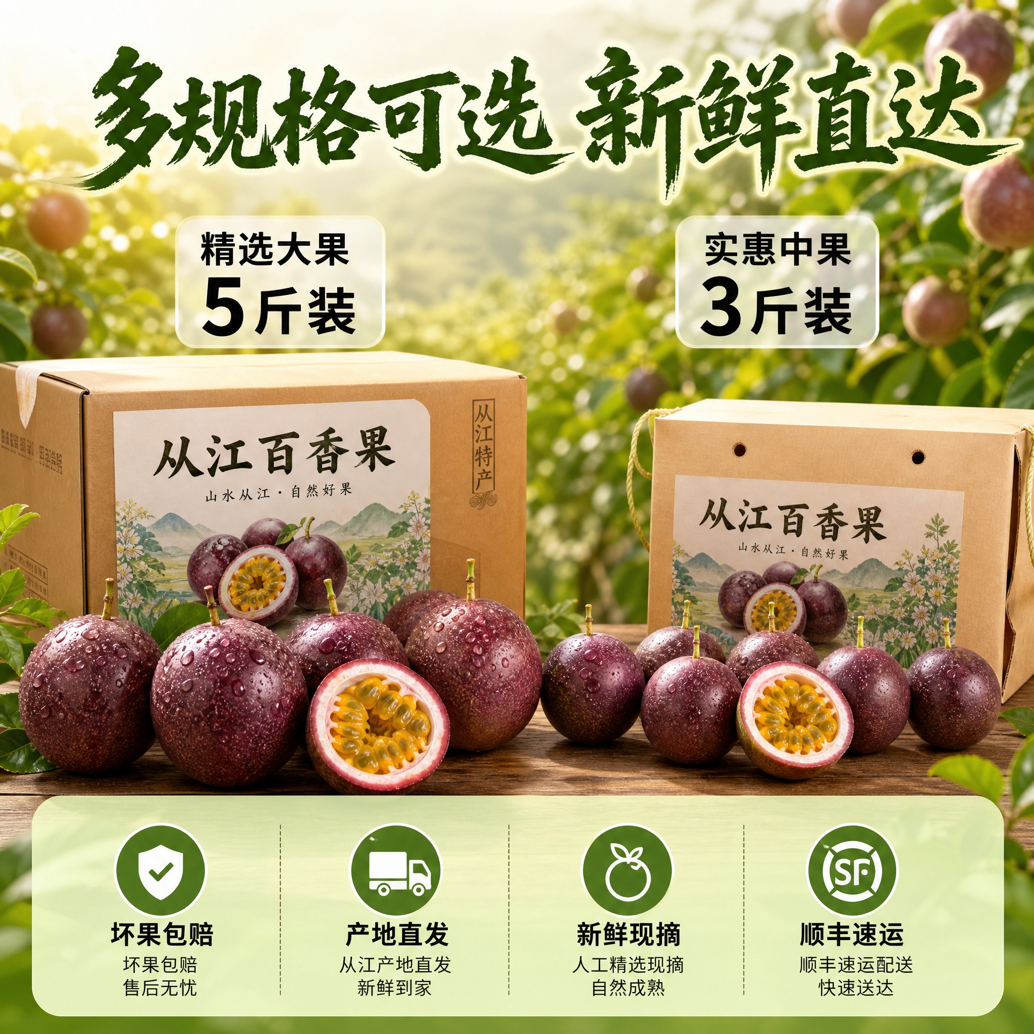 [主图-5] SKU规格与服务承诺 从江百香果转化下单图。 [… - 图片创意预览